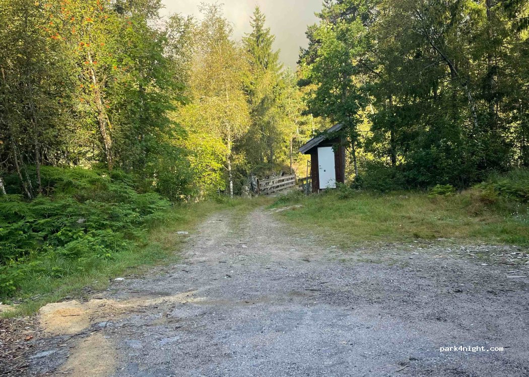 (4520)  - Primær Fylkesveg 460 — foto 3