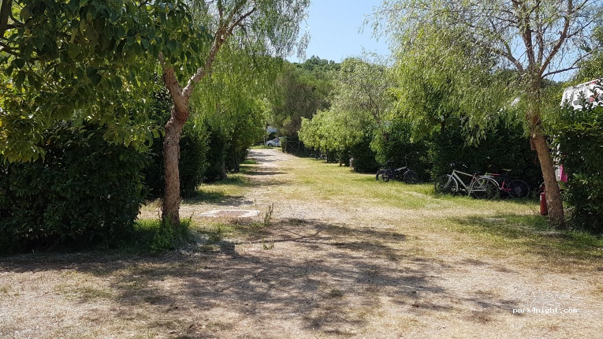(84051) Palinuro - Strada Regionale 562 — foto