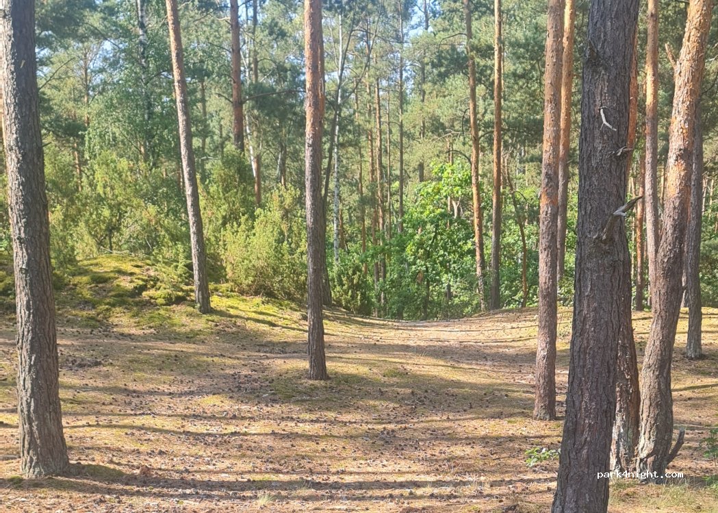 (05-152) Palmiry - 1 Kusocińskiego — foto 3