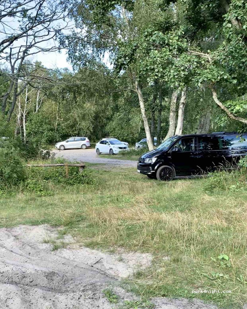 (238535) Rybachy - Unnamed Road — foto