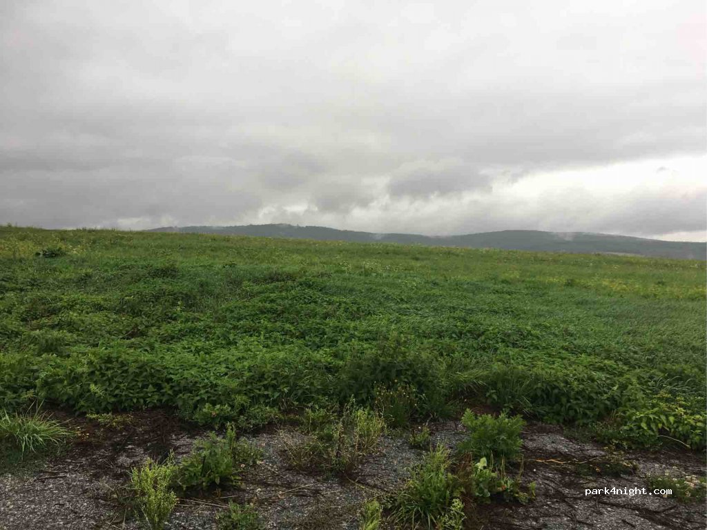 (090 03) Šemetkovce - Unnamed Road — foto