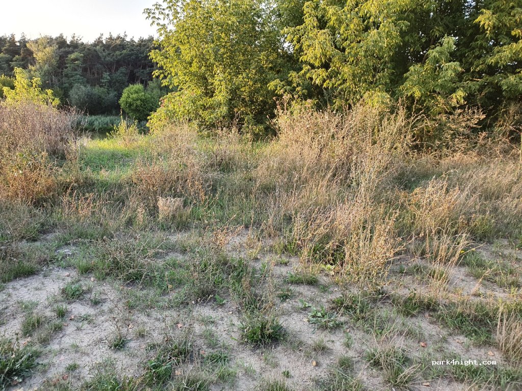 (61-160) Wiórek - 2 Podleśna — foto