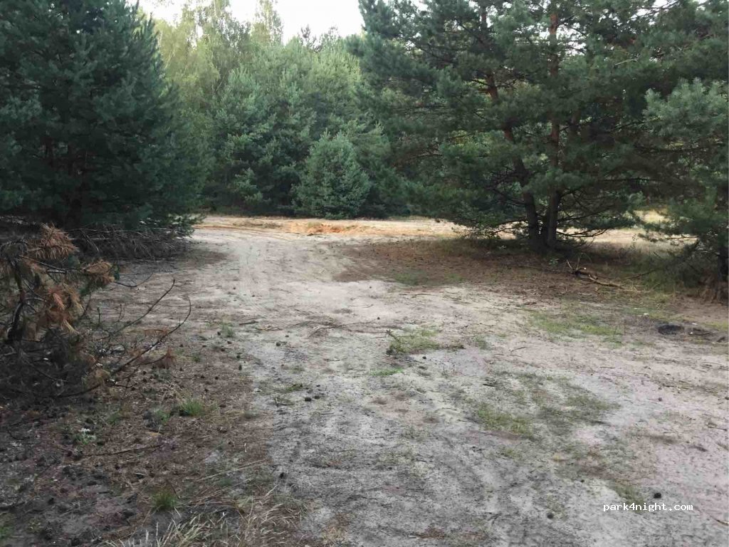 (42-253) Siedlec - 41 Częstochowska — foto