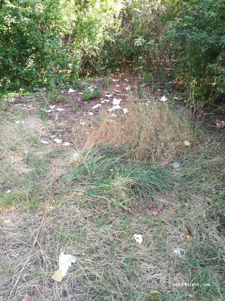 (55-010) Kamieniec Wrocławski - Unnamed Road — foto