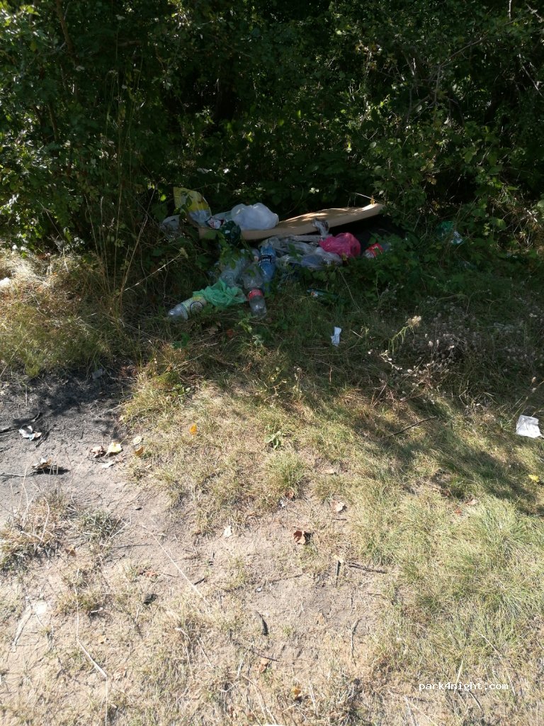 (55-010) Kamieniec Wrocławski - Unnamed Road — foto 2