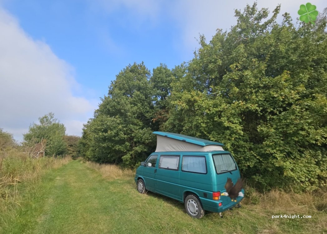 (2635) Ishøj - 39 Skovvej — foto 3