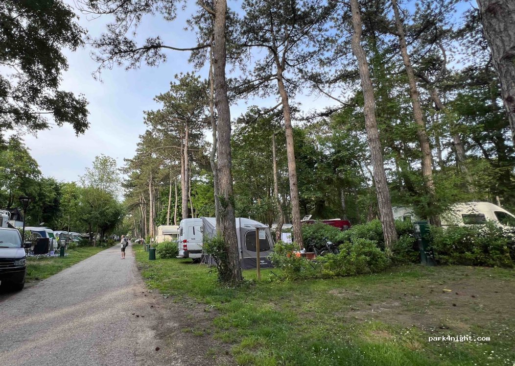 Camping Sabbiadoro — foto 4