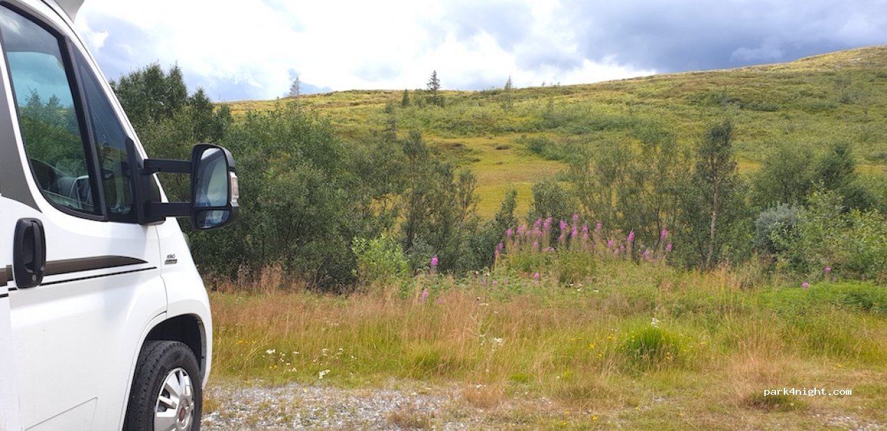 (7257) Snillfjord - Sekundær Fylkesveg 301 — foto