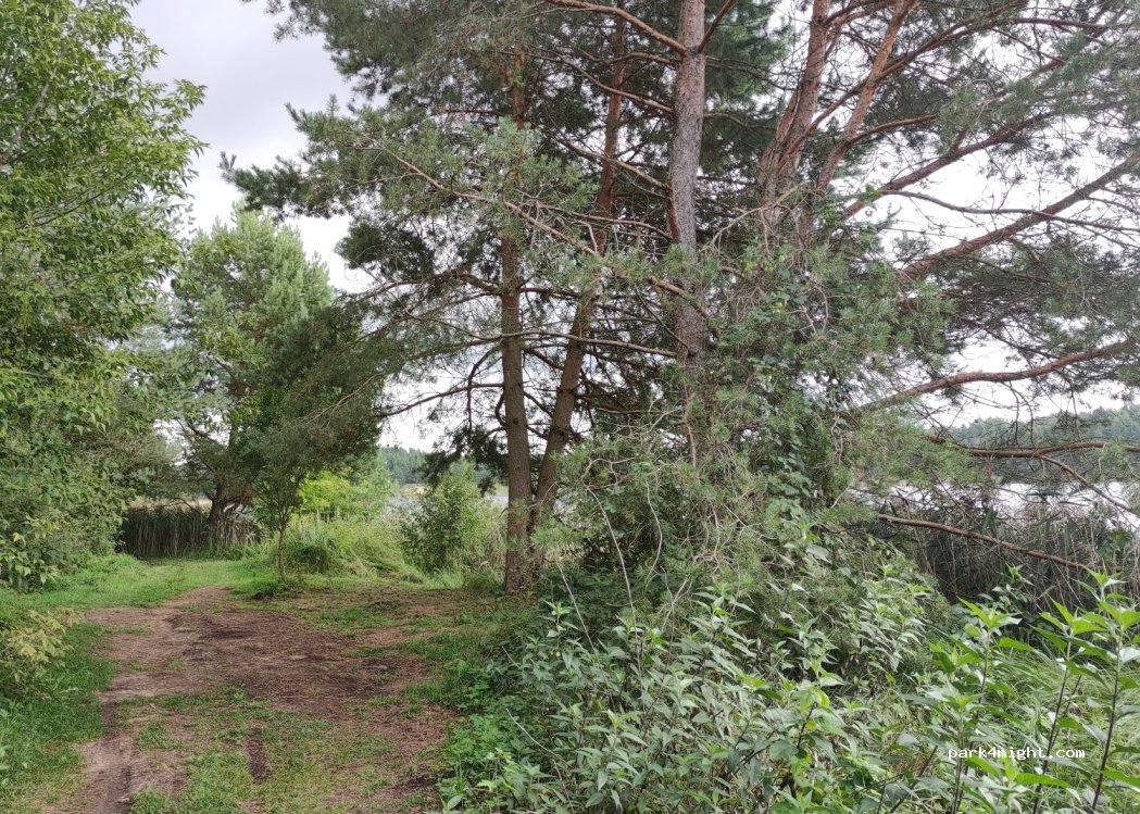 (38429) Gegužinė - Unnamed Road — foto 3