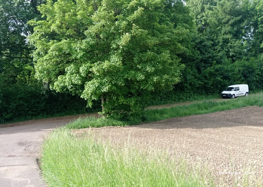 (66399) Mandelbachtal - L107 — foto 3