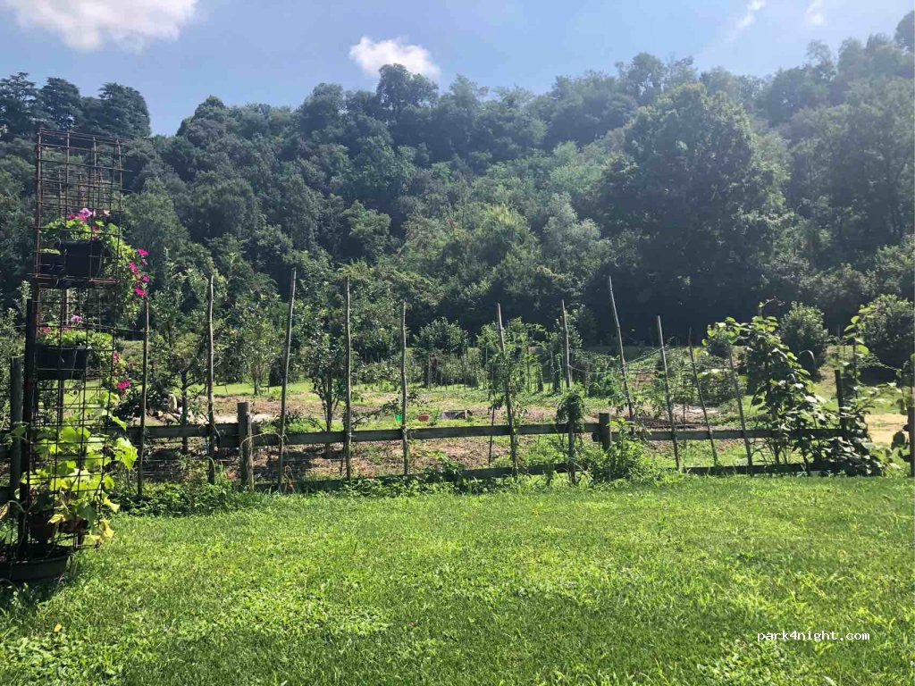 Azienda Agricola Agricuore — foto 2