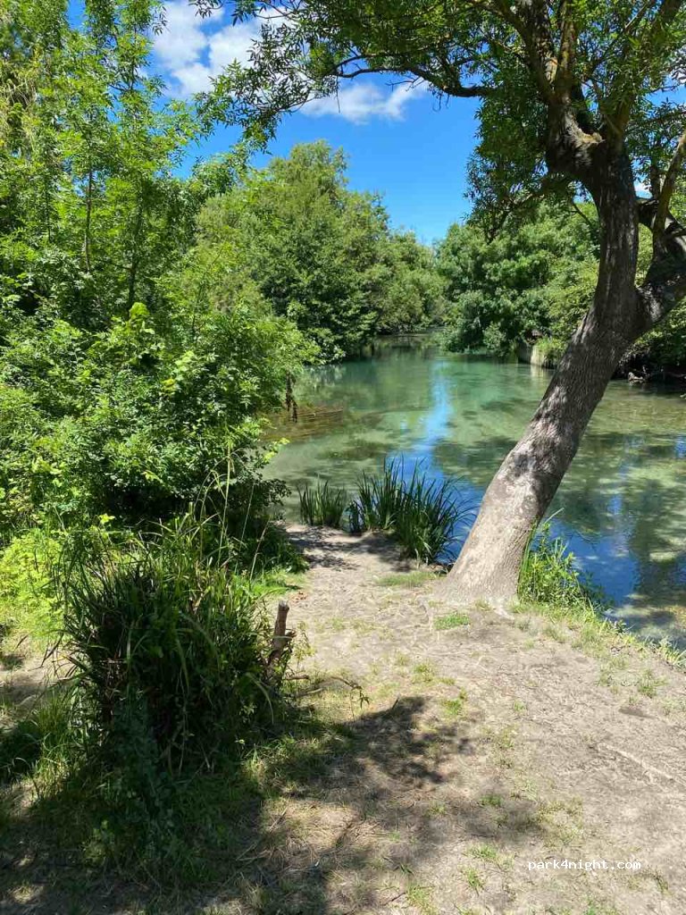 (84800) L'Isle-sur-la-Sorgue - 77 Cours Marcel Pagnol — foto 2
