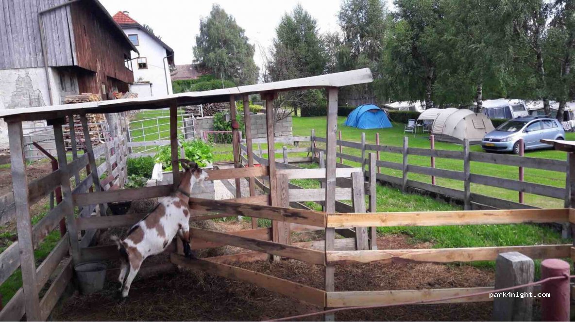 Camping am Bauernhof — foto 2