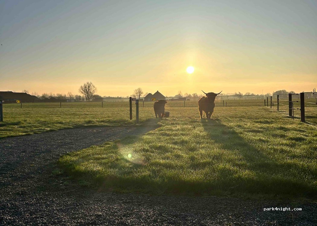 Camperplaats Hiensch — foto 4