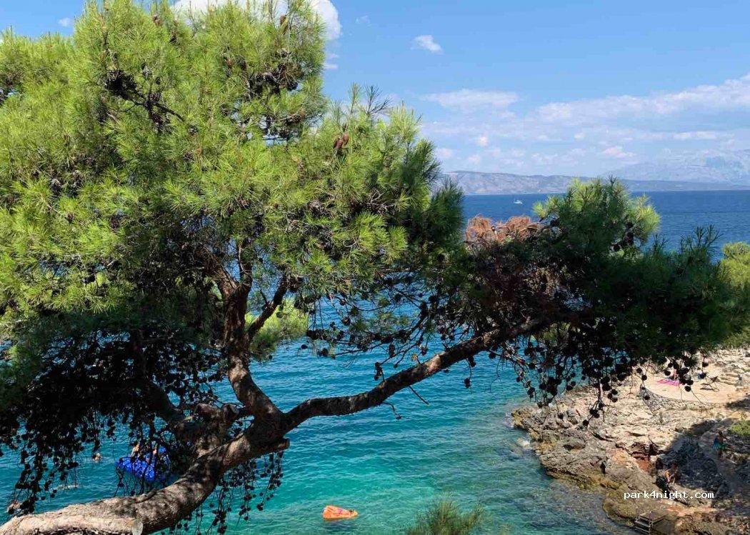 Camping Holiday — foto 3