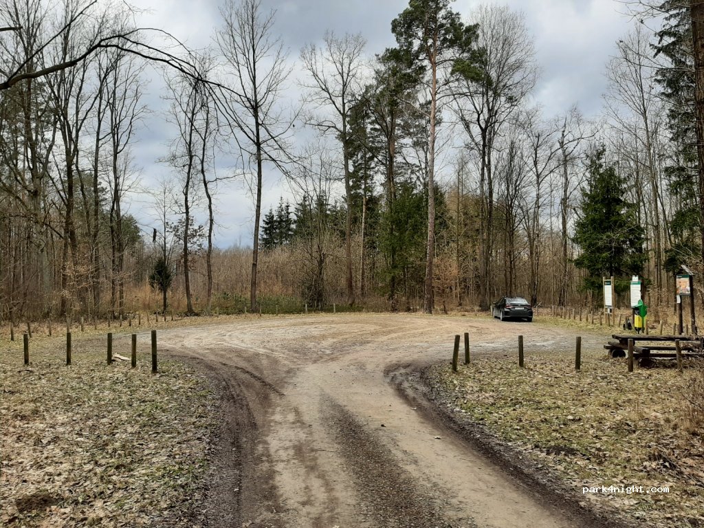 (05-319) Cegłów - Unnamed Road — foto 2