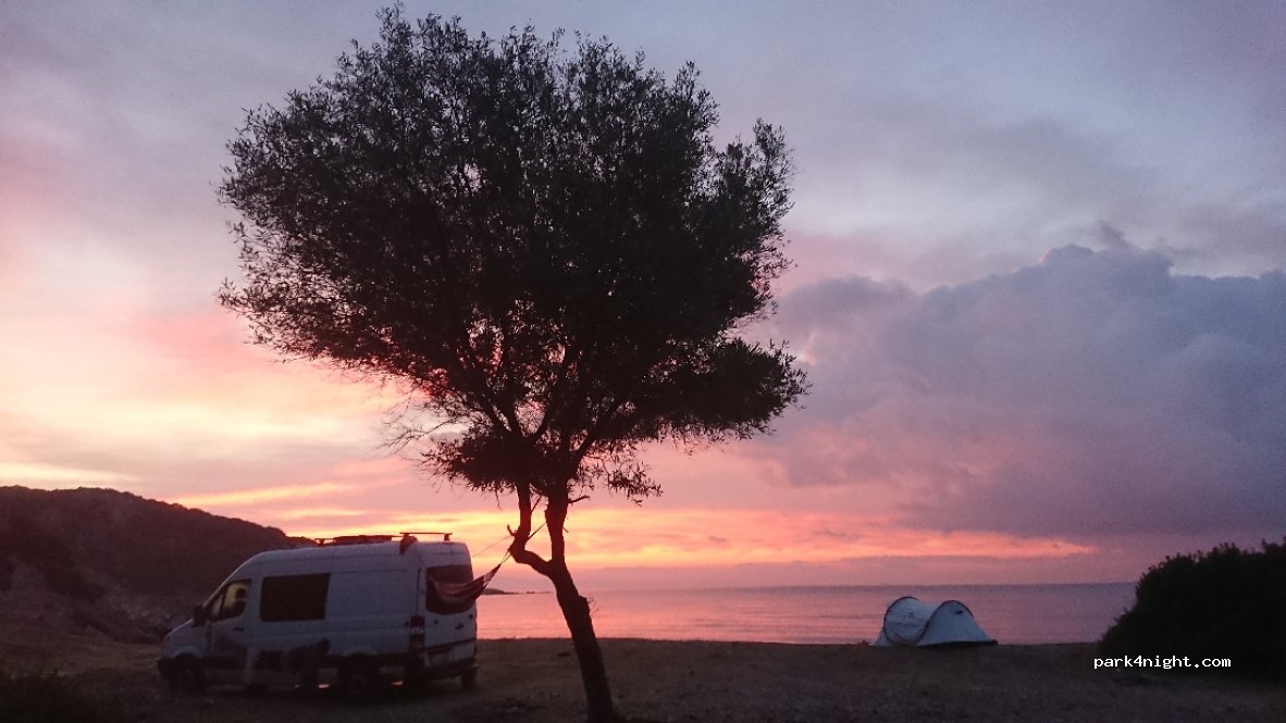 (35430) Urla/İzmir - Yağcılar Plajı, Zeytinler — foto
