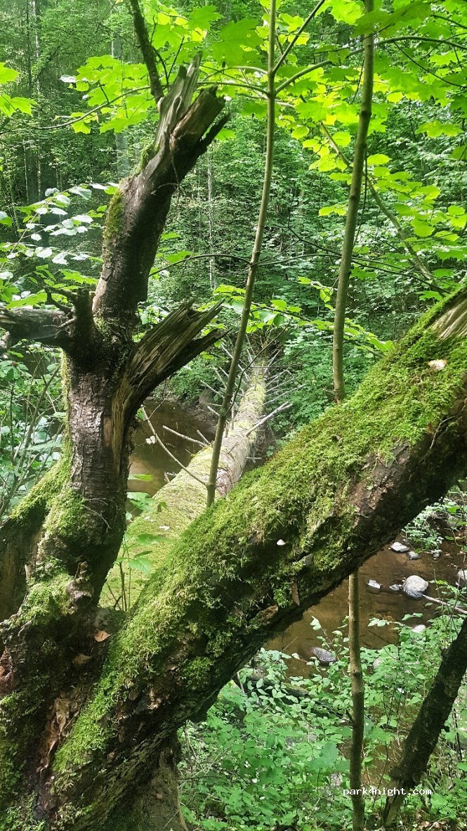 (32230)  - Unnamed Road — foto 4