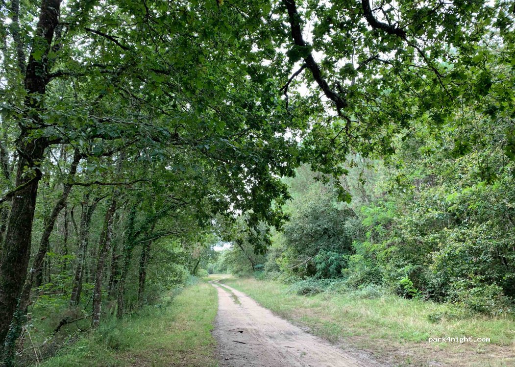 (33780) Soulac-sur-Mer - 45 Allée Montaigne — foto 3