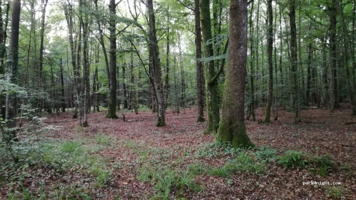(51800) Sainte-Menehould - Unnamed Road — foto 2