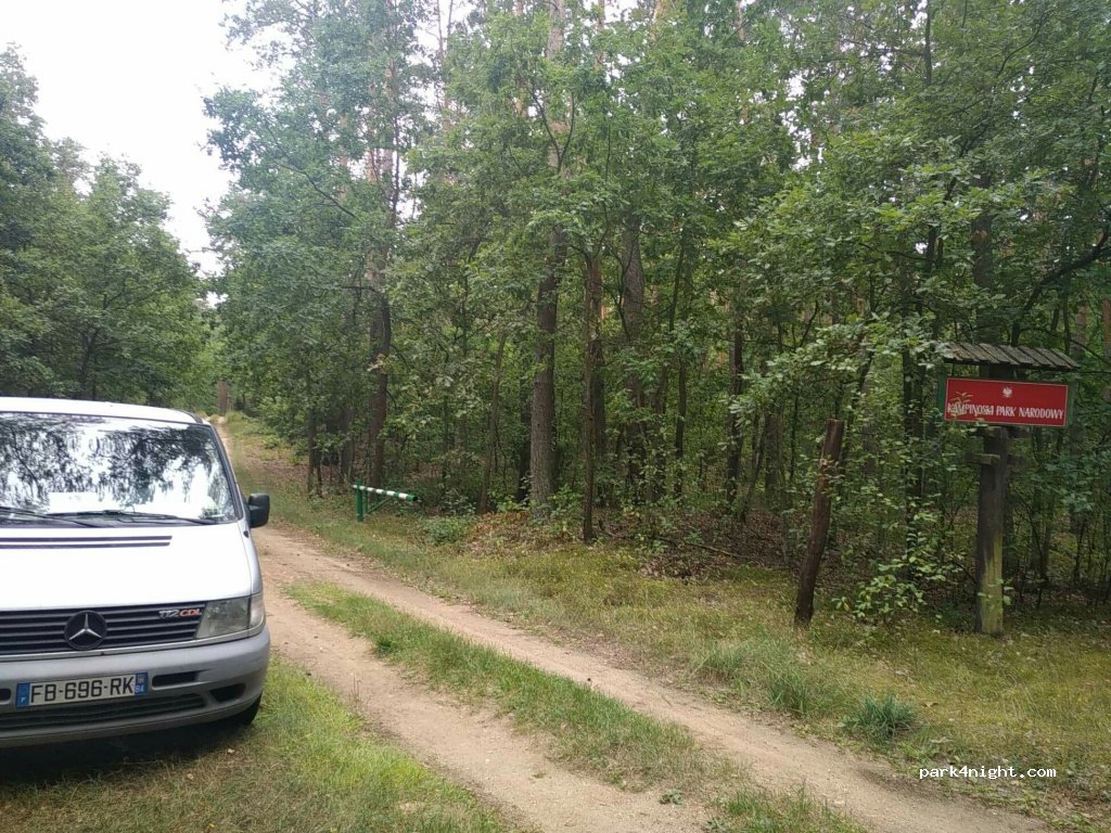 (05-155) Nowe Polesie - — foto 2