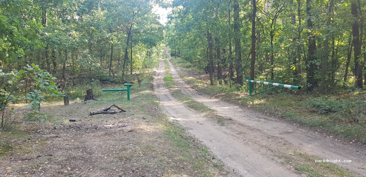 (05-155) Nowe Polesie - — foto 4