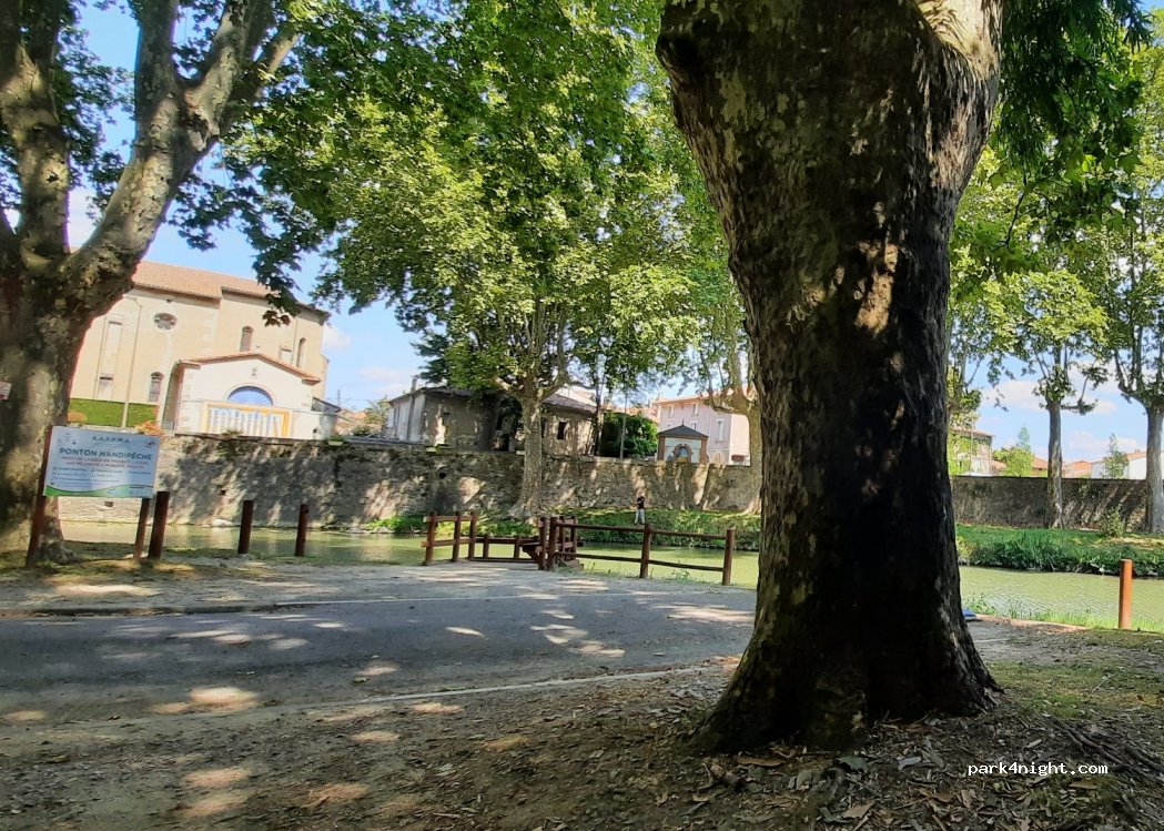 (81580) Soual - 3 Avenue des Pyrénées — foto 2