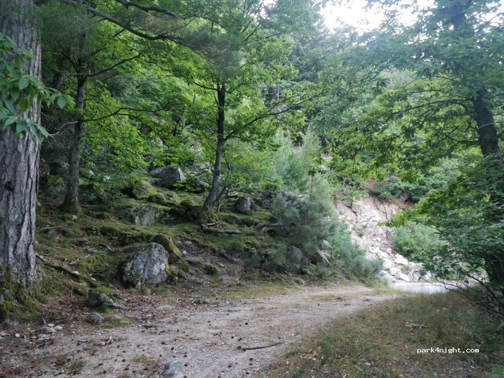 (30450) Génolhac - 7 D362 — foto