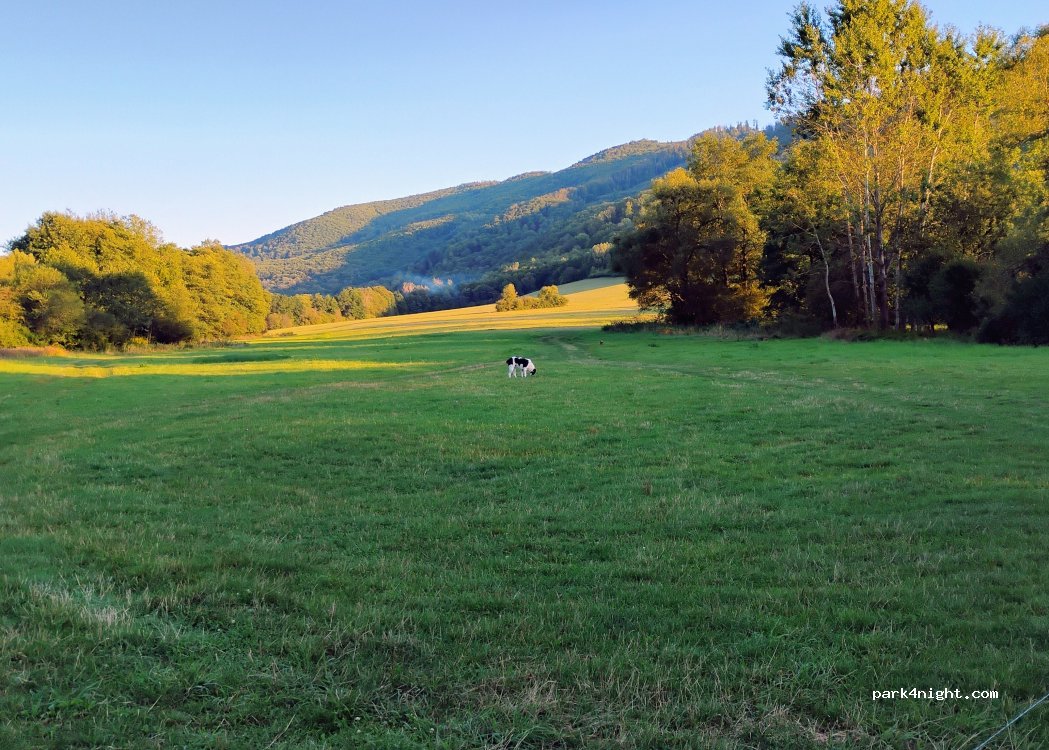 (960 01) Zvolen - Unnamed Road — foto 3