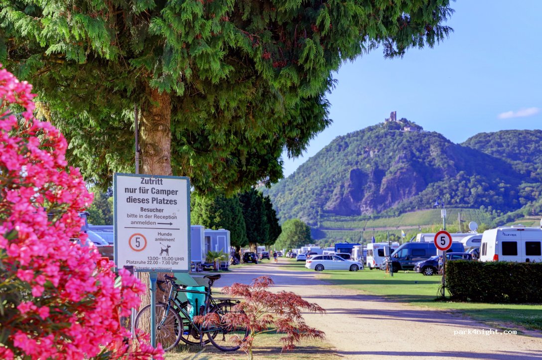 Rheincamping Siebengebirgsblick — foto 2