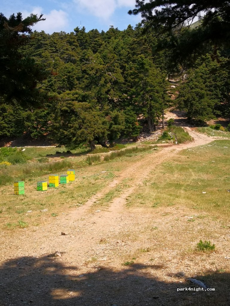 (265 04)  - Bourzanis — foto 3