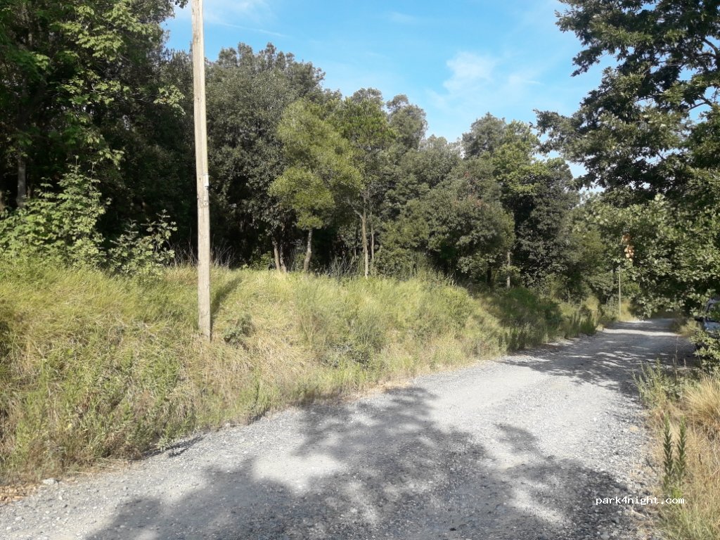 (57121) Livorno - Via del Corbolone — foto