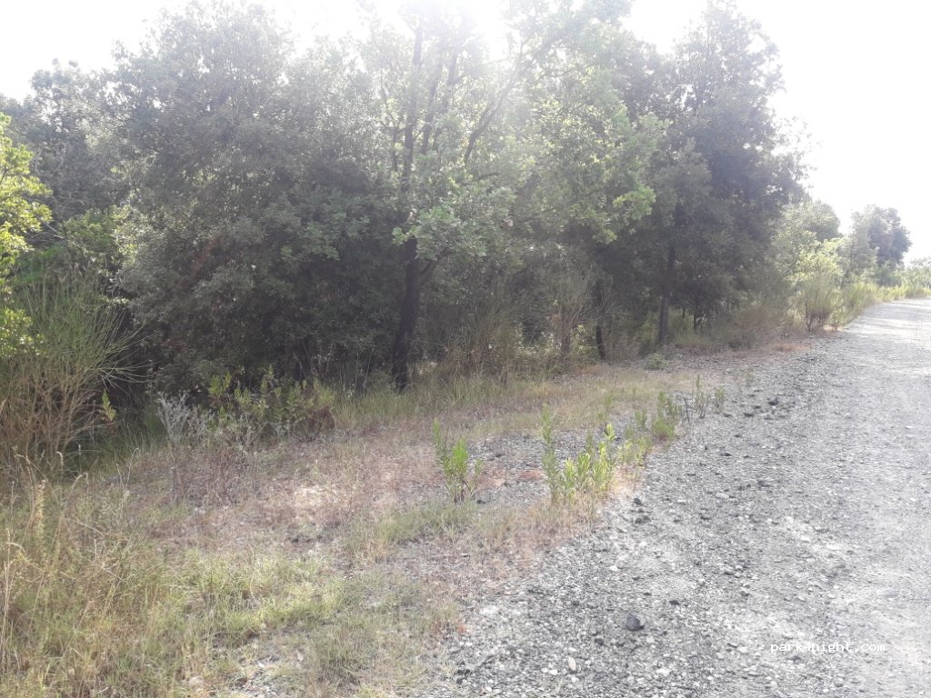 (57121) Livorno - Via del Corbolone — foto 2