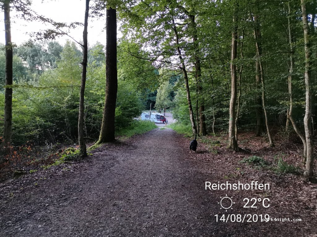 (67110) Reichshoffen - 42 Rue de Jaegerthal — foto 2