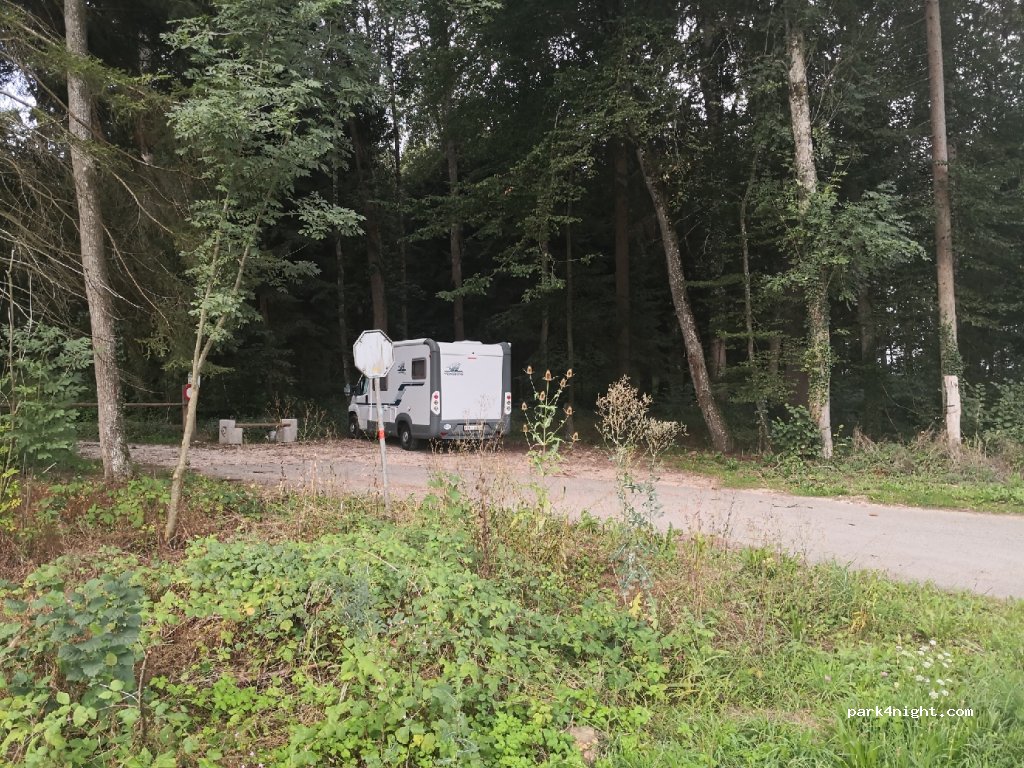 (2942) Alle - Coinat d'Essertiau — foto 2