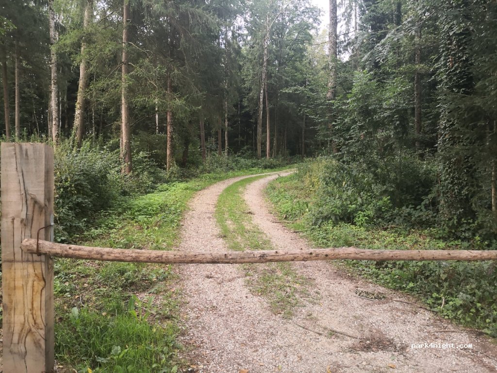 (2942) Alle - Coinat d'Essertiau — foto 3