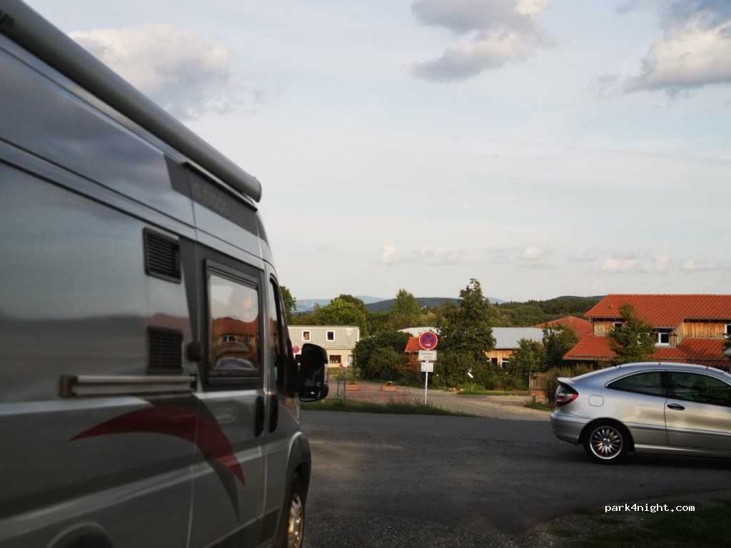 (95336) Mainleus - 3 Hainbuchen — foto