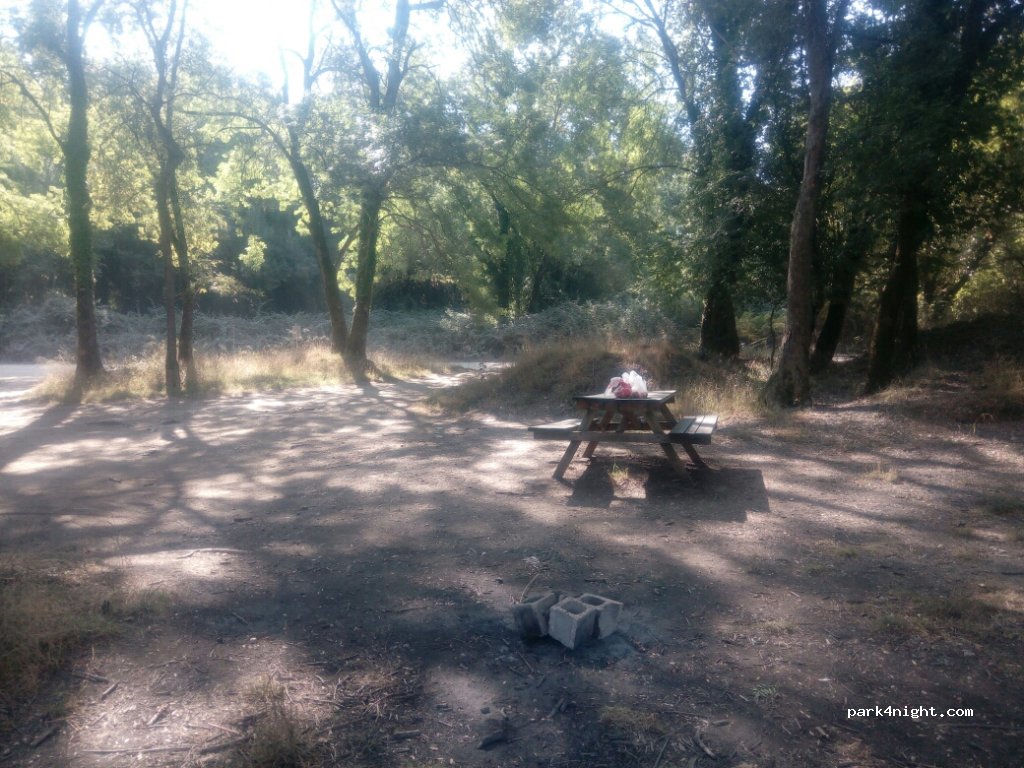 (483 00) Thesprotiko - Unnamed Road — foto
