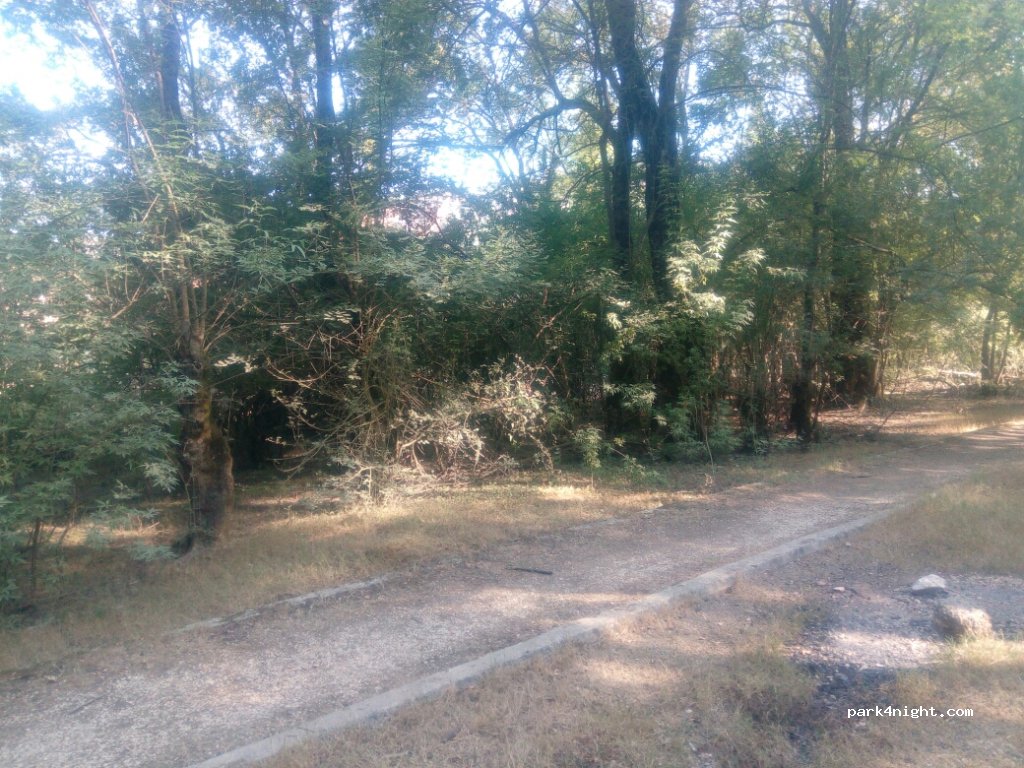 (483 00) Thesprotiko - Unnamed Road — foto 3