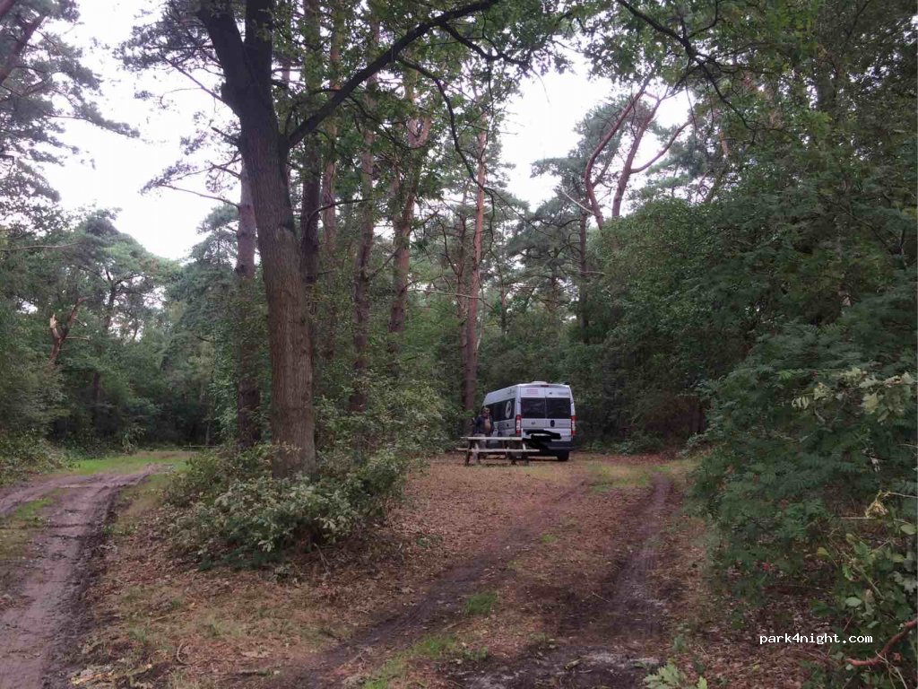 (9551) Sellingen - Groot Koolwitje — foto 2