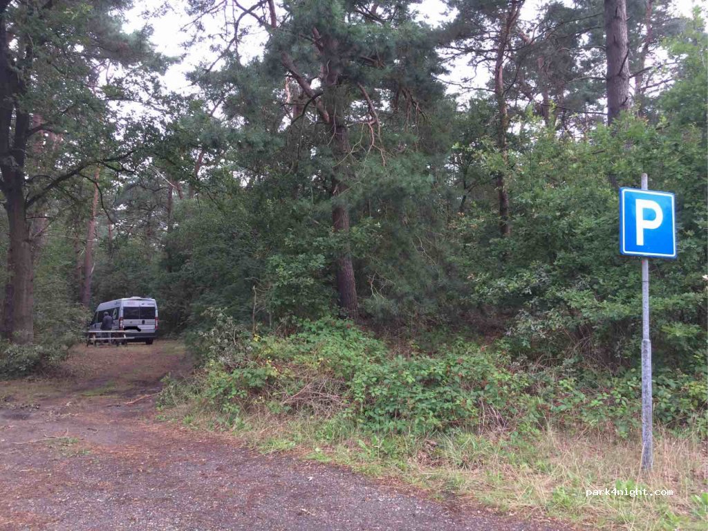 (9551) Sellingen - Groot Koolwitje — foto 3