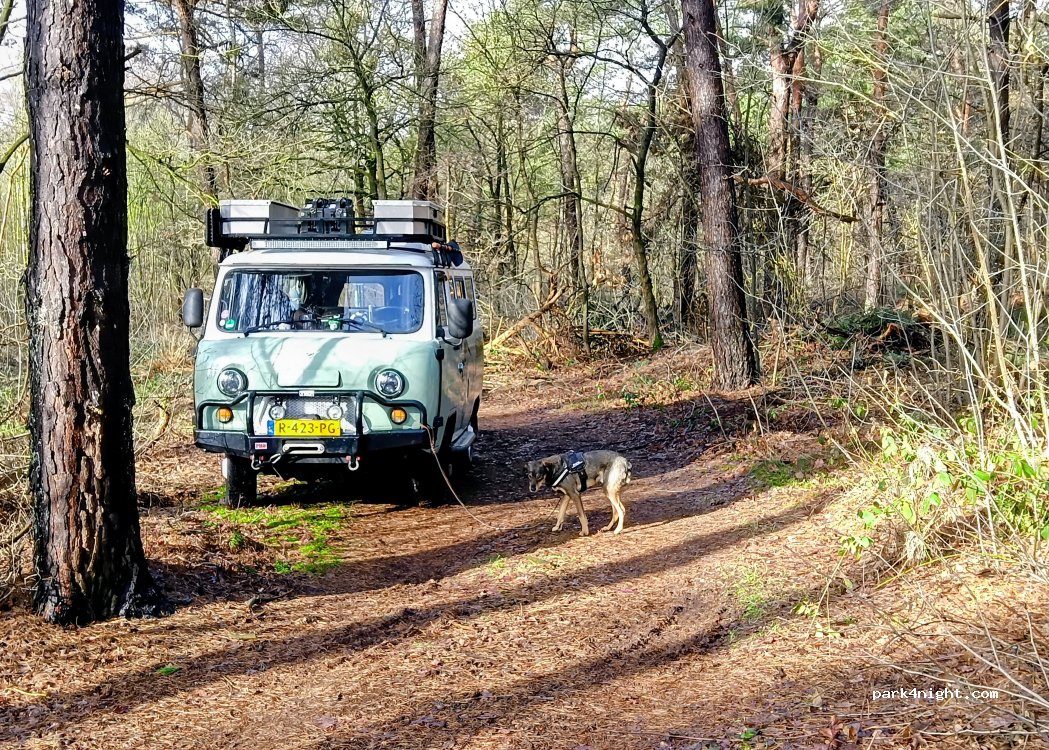 (9551) Sellingen - Groot Koolwitje — foto 5
