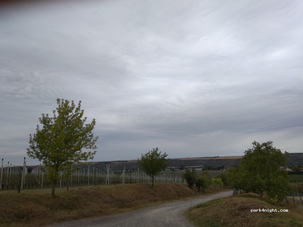 (06317) Seegebiet Mansfelder Land - — foto 2