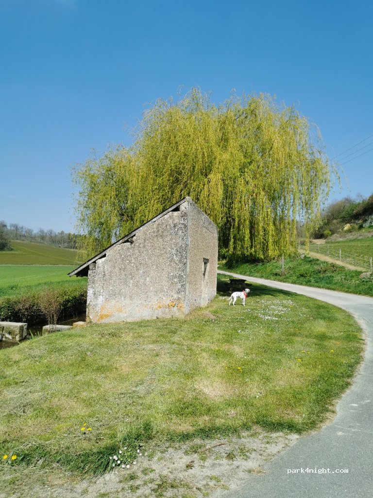 (37220) Avon-les-Roches - Les Roches Tranchelion — foto 2