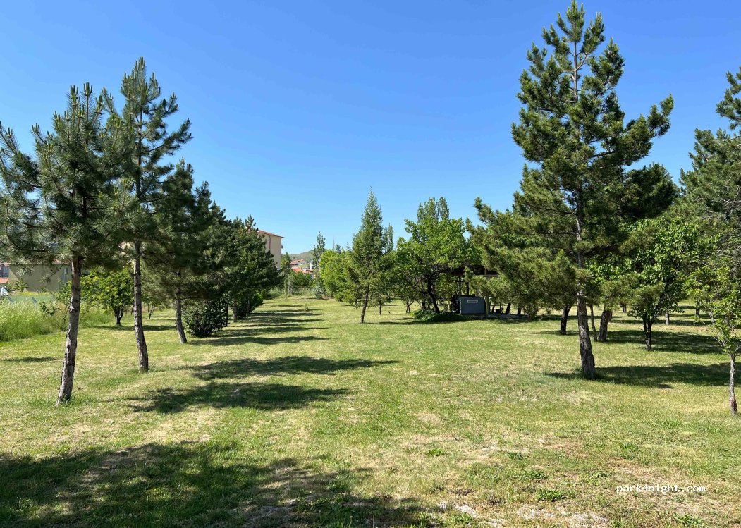Hotel Asikoglu — foto 4