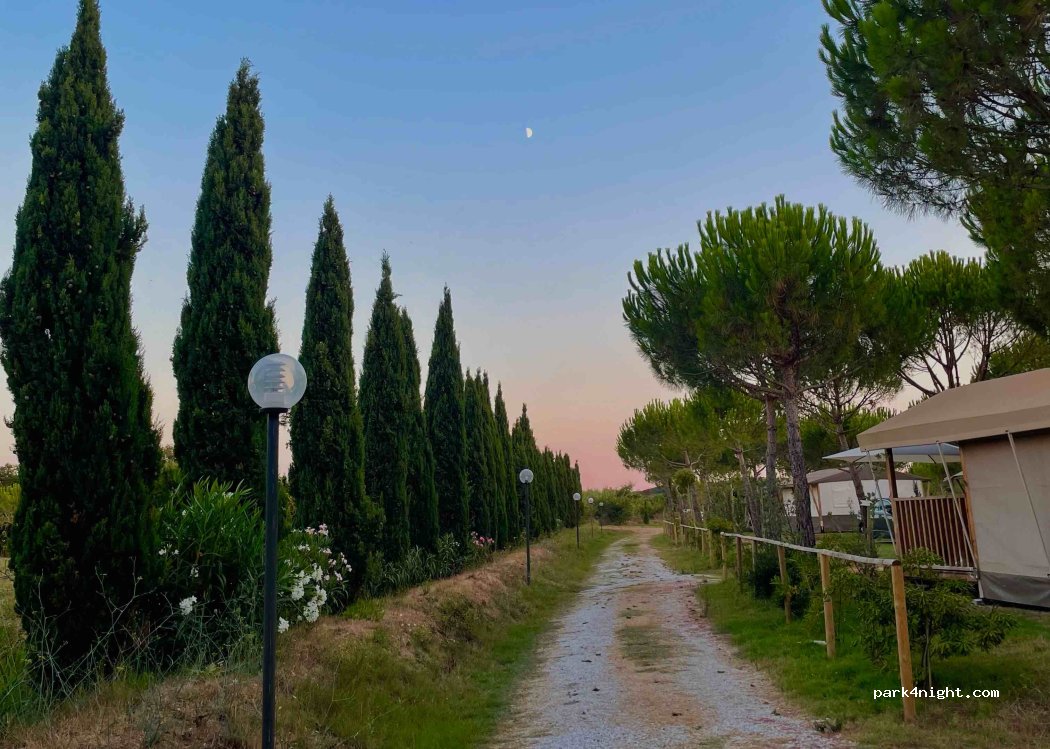 Camping il Gineprino — foto 4
