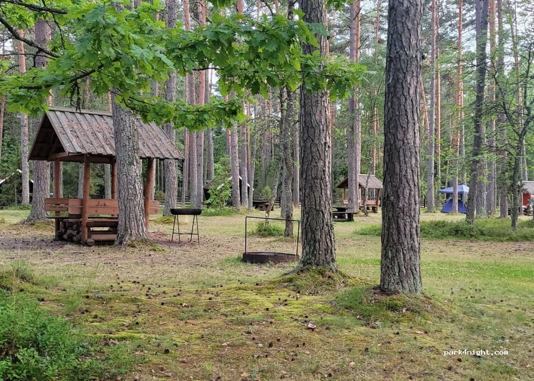 Kauksi telklaager ja kämpingud — foto 2