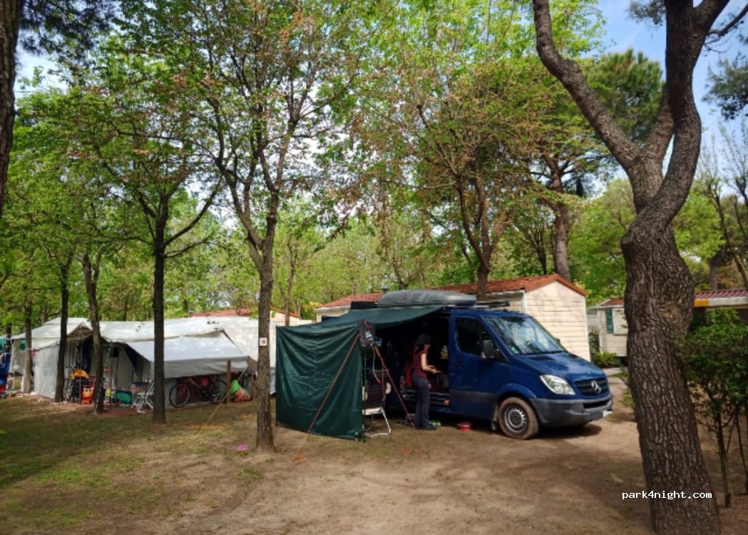 Camping Darisi — foto 2