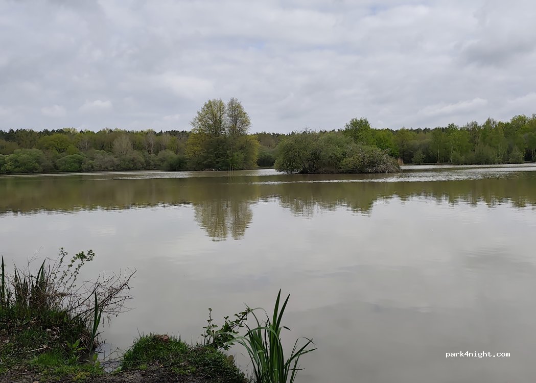 (45240) La Ferté-Saint-Aubin - Route des Aisses — foto 4