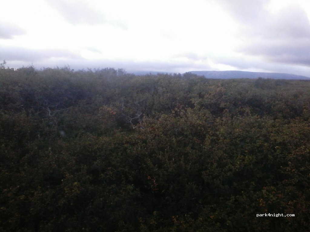()  - Snæfellsnesvegur — foto